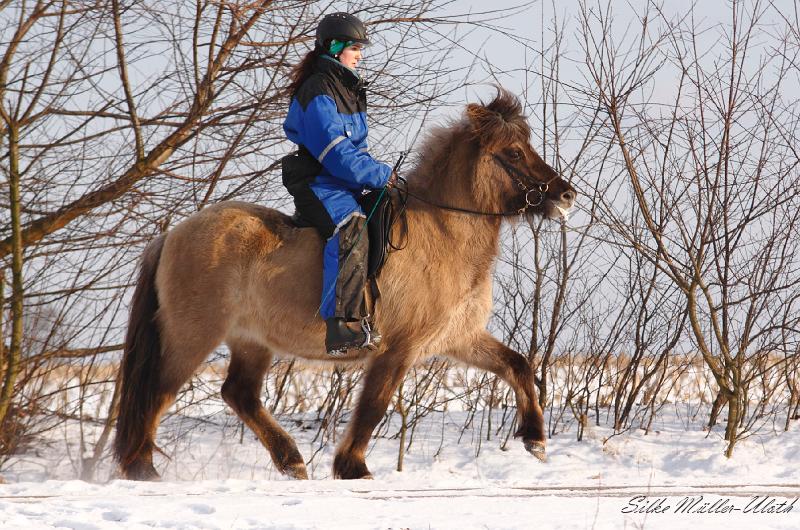 Bjalla Toelt a.JPG - Im Januar haben wir prima Schnee und das nutzen Anna und Bjalla gleich aus.